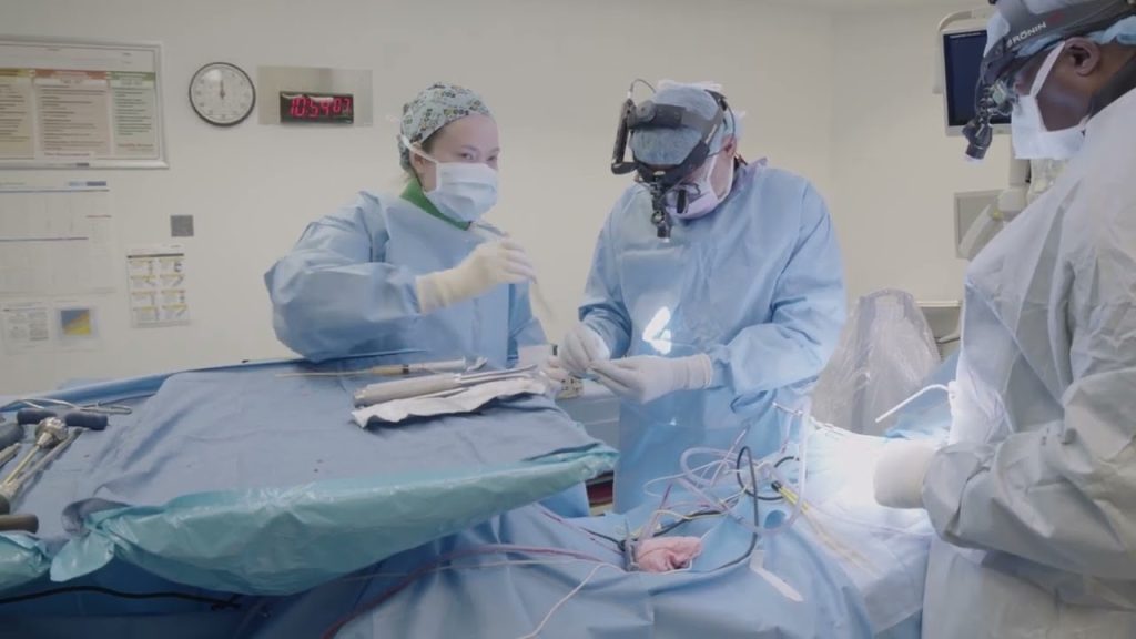 MagnetOs Putty being implanted by a surgeon for a spinal fusion in the operating room OR